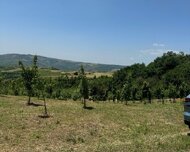 Digər rayon ş., Torpaq , 1 otaq