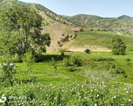 Digər rayon ş., Həyət evi / Villa , 7 otaq