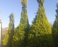 Sabunçu rayonu , Maştağa qəs., 2 otaq