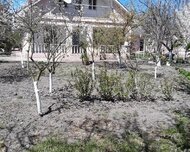Xudat ş., Həyət evi / Villa , 4 otaq