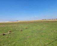 Abşeron rayonu , Masazır qəs., 1 otaq