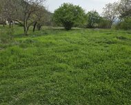 Qəbələ ş., Torpaq , 60 sot