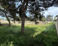 Suraxanı rayonu , Binə qəs., 5 sot