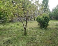 Qəbələ ş., Torpaq , 1 otaq