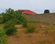 Xəzər rayonu , Buzovna qəs., 8 sot