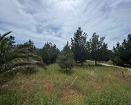 Xəzər rayonu , Şüvəlan qəs., 30 sot