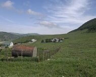 Şamaxı ş., Torpaq , 1 otaq