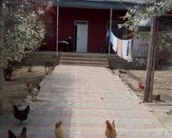 Suraxanı rayonu , Qaraçuxur qəs., 3 otaq