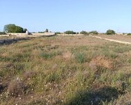 Sabunçu rayonu , Maştağa qəs., 25 sot