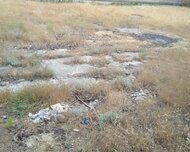 Səbail rayonu , Badamdar qəs., 2 sot
