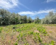 Sabunçu rayonu , Nardaran qəs., 6 sot