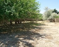 Abşeron rayonu , Görədil qəs., 12 sot