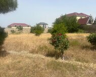 Sabunçu rayonu , Maştağa qəs., 13 sot