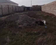 Suraxanı rayonu , Binə qəs., 20 otaq