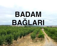 Şabran ş., Obyekt / Ofis , 3 otaq