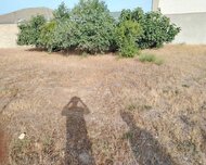 Sabunçu rayonu , Maştağa qəs., 8 sot
