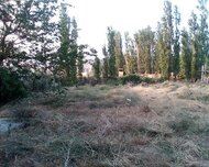 Quba ş., Torpaq , 12 sot