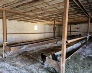 Suraxanı rayonu , Bahar, 8 otaq