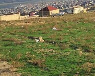 Binəqədi rayonu , Sulutəpə qəs., 3 sot
