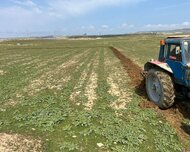 Abşeron rayonu , Novxanı qəs., 67 sot