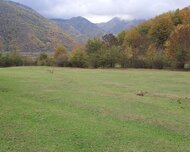 Oğuz ş., Torpaq , 1 otaq