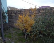 Sabunçu rayonu , Zabrat qəs., 5 otaq