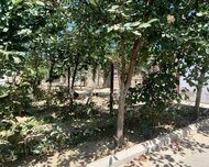 Sabunçu rayonu , Maştağa qəs., 3 otaq