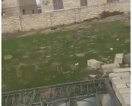 Abşeron rayonu , Hökməli qəs., 5 sot