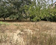Sumqayıt ş., Torpaq , 1 otaq