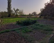 Saatlı ş., Torpaq , 5 otaq