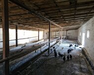 Suraxanı rayonu , Bahar, 8 otaq