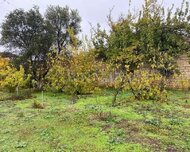 Abşeron rayonu , Novxanı qəs., 3 otaq