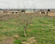 Sabunçu rayonu , Nardaran qəs., 24 sot