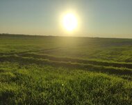 Göyçay ş., Torpaq , 326 sot