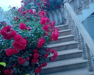Gəncə ş., Həyət evi / Villa , 10 otaq