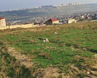 Binəqədi rayonu , Sulutəpə qəs., 6 sot