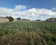 Sabunçu rayonu , Maştağa qəs., 1 otaq