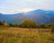 Quba ş., Torpaq , 50 sot