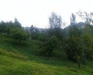 İsmayıllı ş., Torpaq , 1 otaq