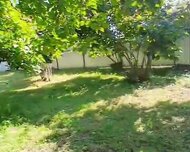 Digər rayon ş., Torpaq , 10 sot