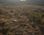 Xəzər rayonu , Buzovna qəs., 8 sot