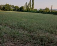 Şəki ş., Torpaq , 80 sot