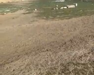 Abşeron rayonu , 10 sot