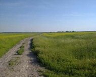 Səbail rayonu , 20-ci sahə qəs., 2 otaq