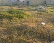 Qaradağ rayonu , Müşviqabad qəs., 3 sot