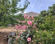 Abşeron rayonu , Saray qəs., 4 otaq