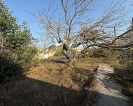 Xəzər rayonu , Şüvəlan qəs., 14 sot