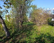 Qəbələ ş., Torpaq , 1 otaq