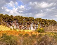 Abşeron rayonu , Görədil qəs., 8 sot