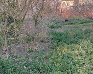 Xətai rayonu , Əhmədli qəs., 20 sot